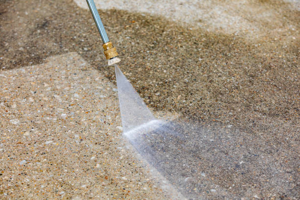 Best House Exterior Washing  in Woodburn, IN
